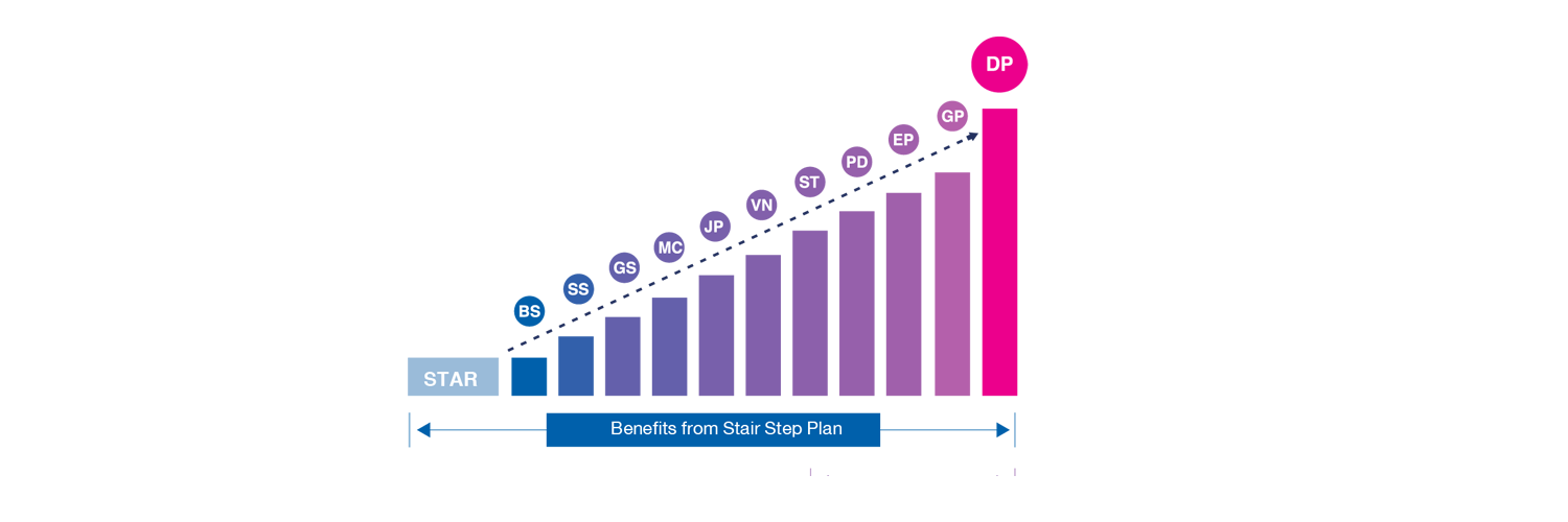 MLM Stair Step Plan