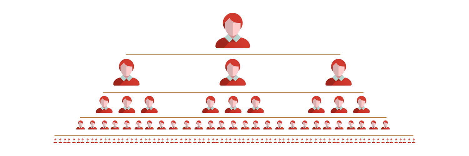 MLM Forced Matrix Plan