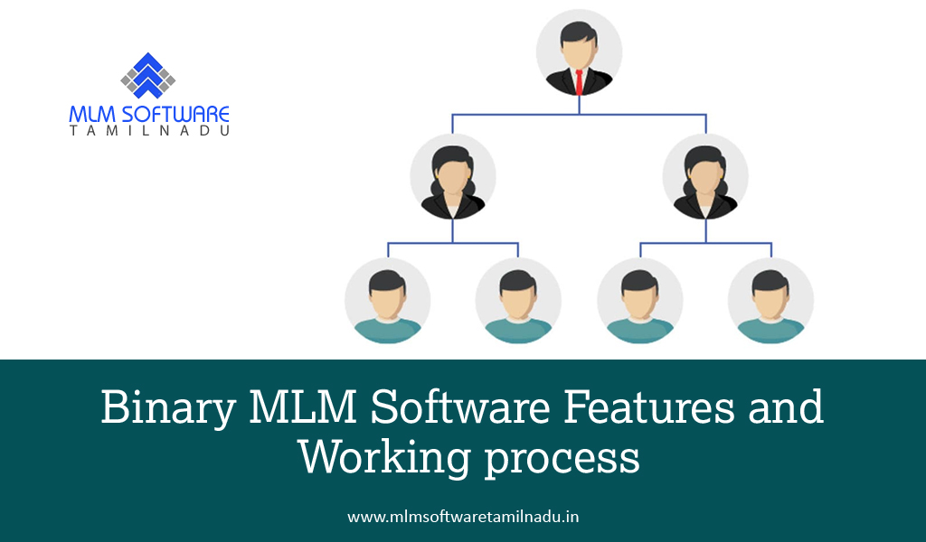 binary-mlm-software-features-and-working-process