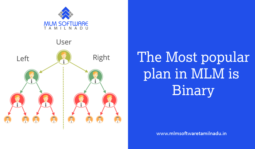 The-Most-popular-plan-in-MLM-is-Binary