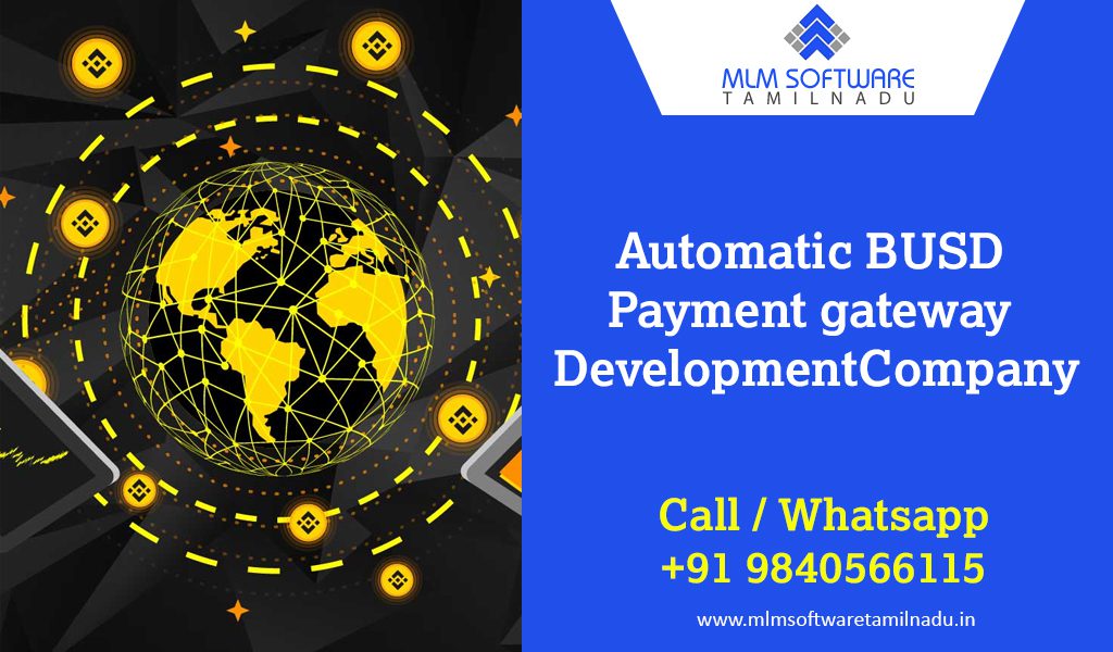 Automated-BUSD-payment-gateway-development-company-tamilnadu