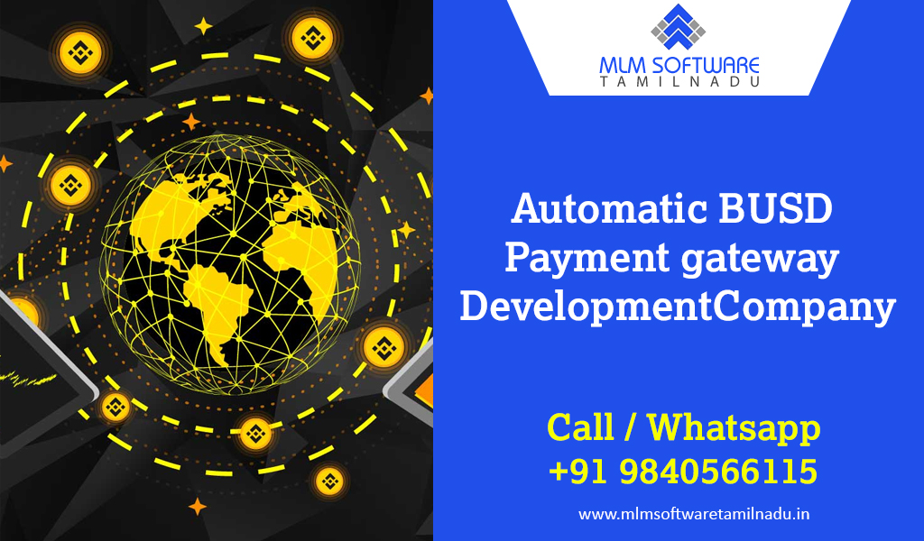 Automated-BUSD-payment-gateway-development-company-tamilnadu